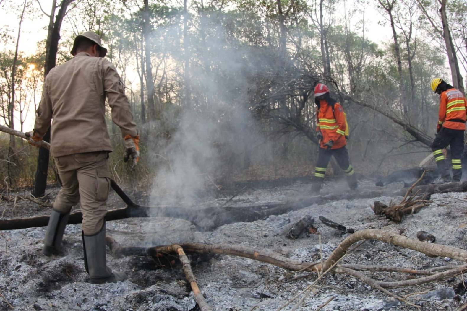 Com apoio do governo federal, MS controla focos de calor no Pantanal e Cerrado Bombeiros combateram neste domingo foco de calor na APA Baía Negra, em Ladário, onde foi resgatado um jacaré encontrado em uma piscina de balneário