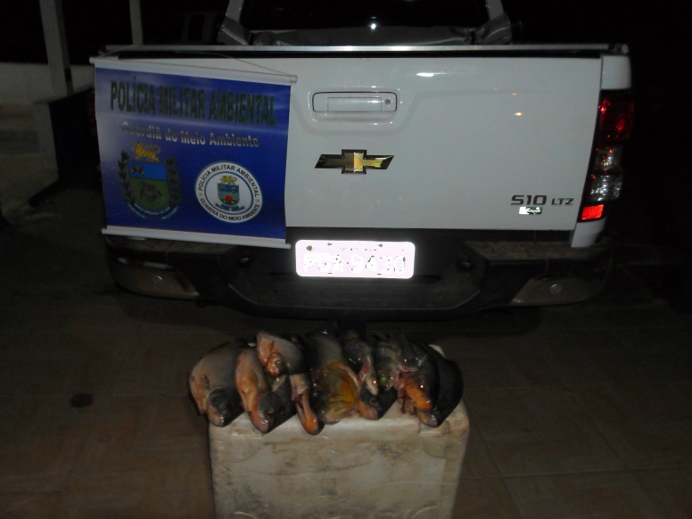 Paulista é preso e autuado por pesca ilegal