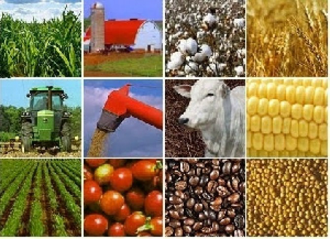 Agronegócio ganha modalidade inédita para alavancar financiamentos