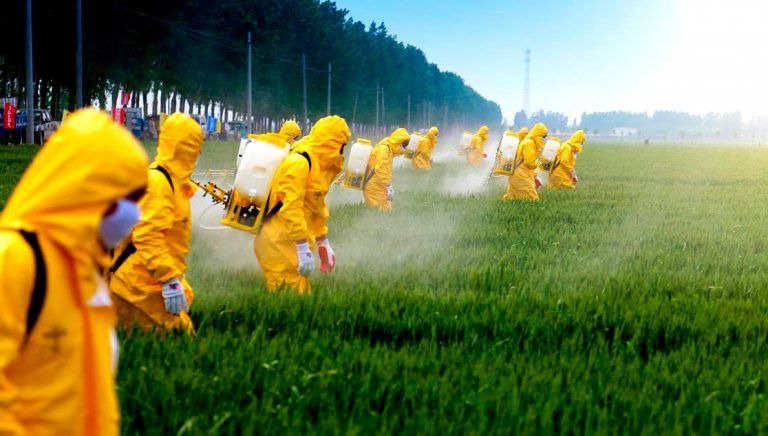 Governo autoriza mais 63 agrotóxicos, sendo 7 novos; total de registros em 2019 Governo autoriza mais 63 agrotóxicos, sendo 7 novos; total de registros em 2019