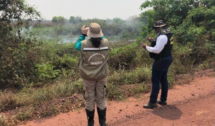 Fazendeiros serão autuados por crime ambiental no Pantanal Foto: divulgação
