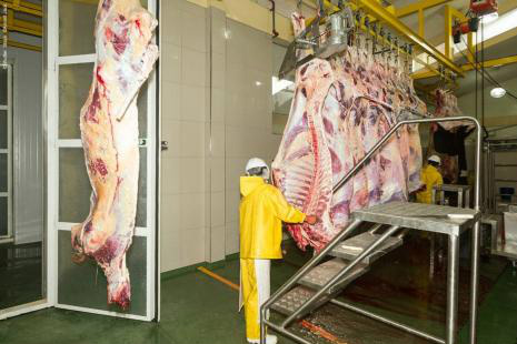 Pesquisa mostra diagnóstico da cadeia produtiva de carne bovina em MS Produtividade do setor de carnes depende da melhor integração entre os elos do setoFoto: Divulgação