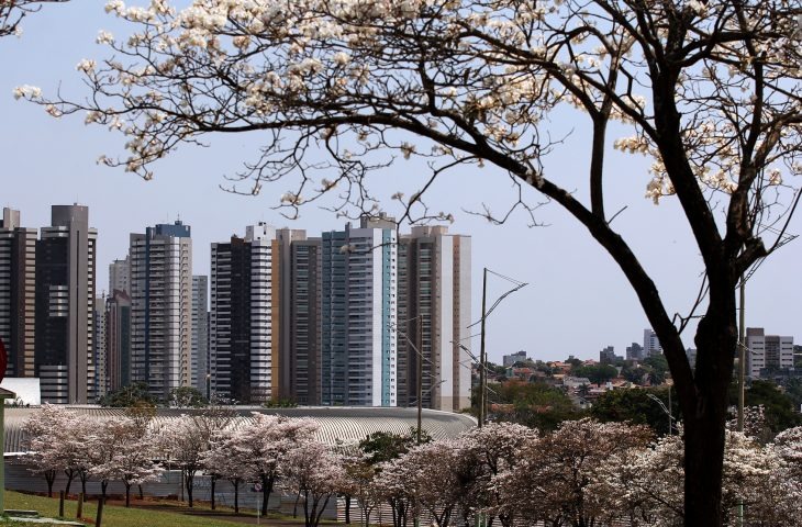 Foto: Chico Ribeiro