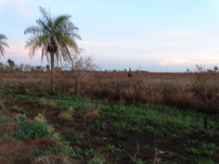 Fazendeiro de Dourados é autuado pela PMA por incêndio em mata ciliar