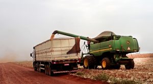 Com potencial de um país, MS é o 14º maior produtor de milho do mundo Produção de milho deve somar 8,65 milhões de toneladas