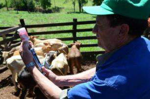 Primeiro período para imunização segue agora até 17 de março