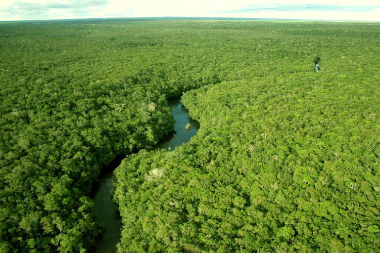Ibama e Inpe firmam pacto para redução do desmatamento na Amazônia