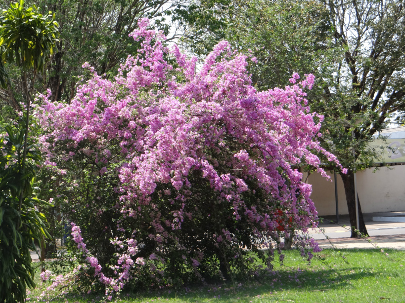 Início da Primavera