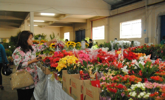 4ª Feira das Flores tem início nesta quinta-feira (24) em Amambai A Feira das Flores já se tornou tradição no município de Amambai / Foto: Moreira Produções