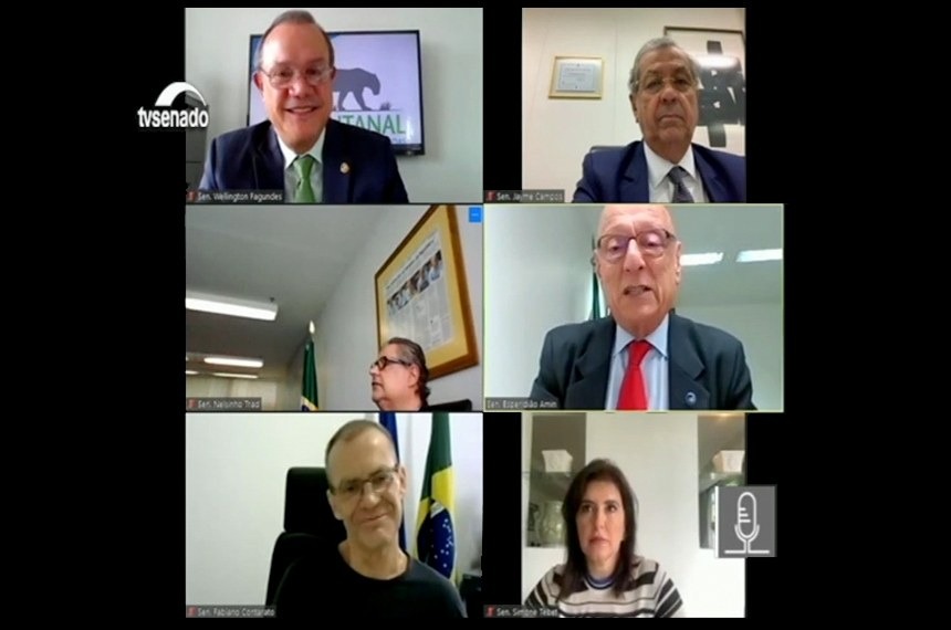 Comissão temporária externa realizou reunião remota nesta quarta-feiraReprodução Tv Senado