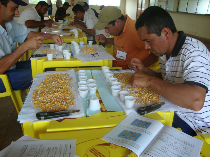 Caarapó recebe Curso de Classificação de Grãos