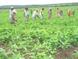 Trabalhadores rurais defendem novo enquadramento sindical