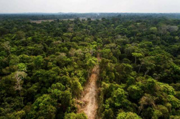 Produtores rurais de MS são investigados em esquema de grilagem no Pará Área explorada em Altamira / Foro:Marcio Isensee e Sá/ El País Brasil