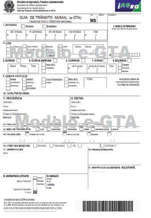 Coletiva de imprensa: Seprotur e Sindicato Rural esclarecem sobre GTA eletrônica