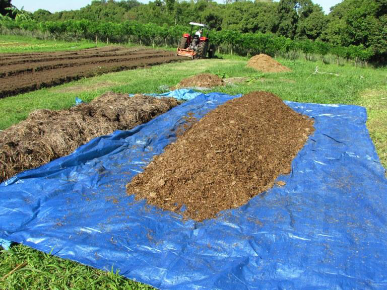 Técnica pode ser utilizada não só para nutrir o solo, mas também como forma de reciclar o lixo orgânico 