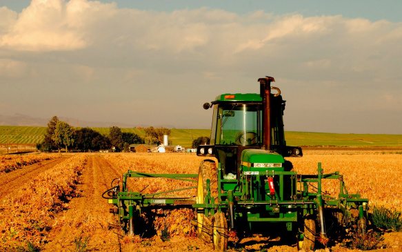 Possibilidade é uma das atribuições da Comissão Interministerial do Programa Agricultura de Baixa Emissão de Carbono, prevista para ser instituída no primeiro semestre deste ano