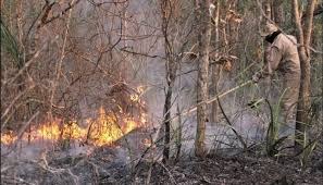 Mato Grosso do Sul recebe apoio para combate a incêndios
