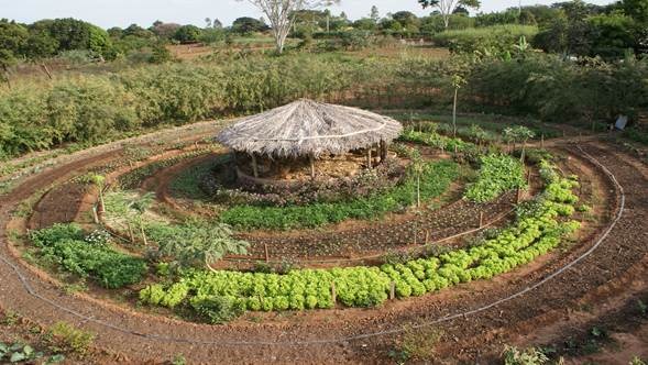 Projetos de Piscicultura e Agroecologia nas comunidades indígenas é reivindicado Ismael afirma que a implantação dos projetos nas aldeias vai garantir renda e emprego para a comunidade / Foto: Ilustrativa