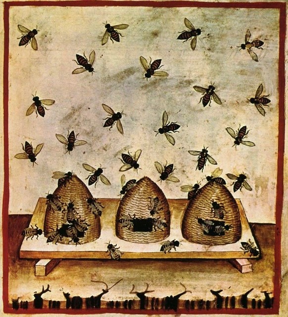 Ilustração do manuscrito do século XIV, Tacuina sanitatis / Reprodução