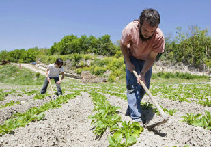 Incra publica novas regras sobre reforma agrária