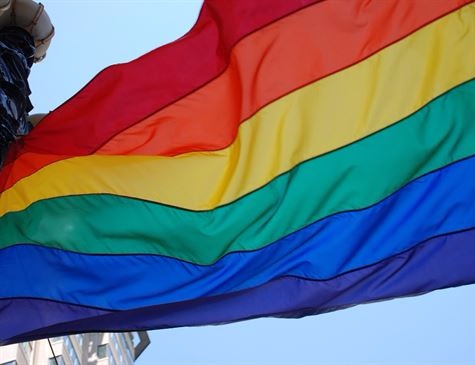 Comissão do Senado faz audiência pública no Dia de Combate à Homofobia Foto: Divulgação