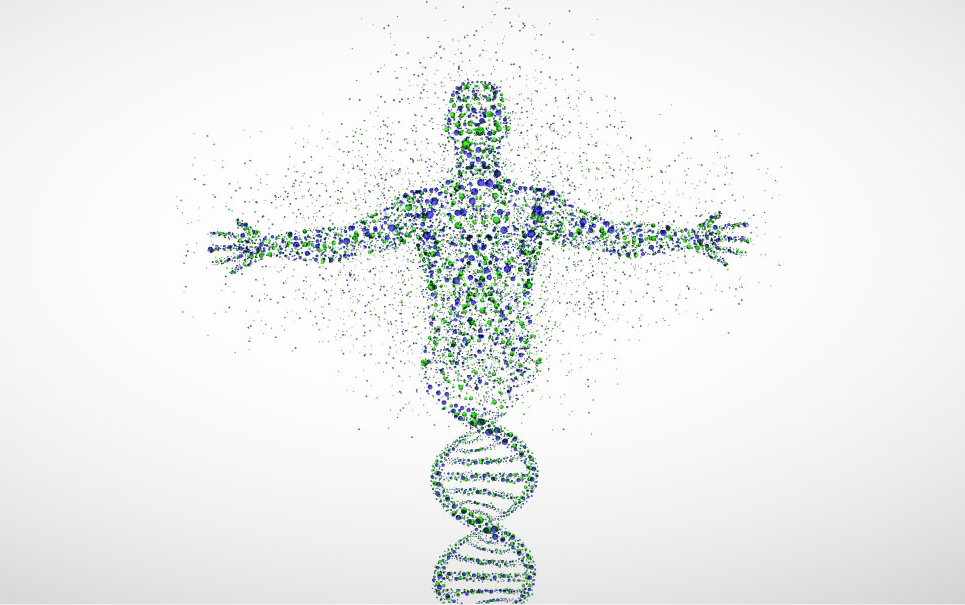 Teste de DNA revela que o "pai" de todos os humanos viveu há 340 mil anos