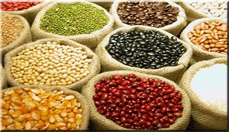 Novo levantamento da Conab prevê safra recorde de 153 milhões de toneladas de grãos