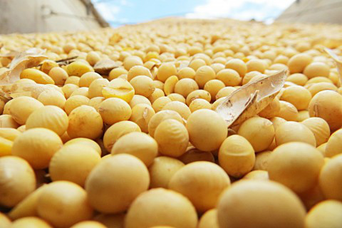Receita com exportações cai 0,88% em MS no acumulado de 2014 Foto: Ascom Famasul