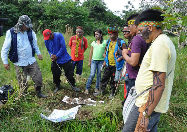 Troca de conhecimentos melhora produção agrícola em Terras Indígenas da Amazônia Pesquisador e indígenas em coleta de solos.