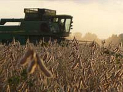 Nos experimentos da Coplana Cooperativa Agroindustrial, a soja FPS Solar IPRO foi campeão em produtividade dentre 17 cultivares avaliadas