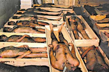 52 detentos foram mortos no terceiro pavimento do Pavilhão 9 da extinta Casa de Detenção do Carandiru / Foto: Divulgação