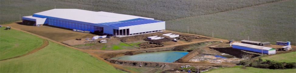 Parceria entre governo, MPT e empresas gera dois mil empregos a índios do MS Sede da empresa Aliprandini em Vacaria (RS). Neste ano, mais de 500 indígenas terena e guarani trabalharam na colheita de maçã. Foto: Divulgação