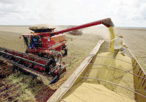 Safra de grãos 2011/2012 deve chegar a 157,8 milhões de toneladas