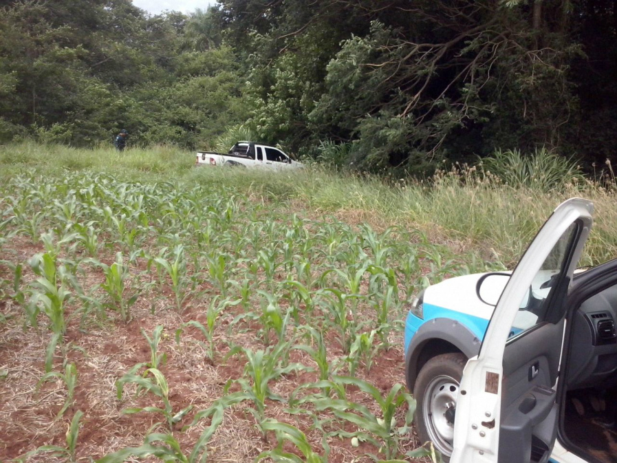 Veículo foi abandonado em lavoura de milho, localizada nas proximidades da rodovia / Foto: Assessoria PM