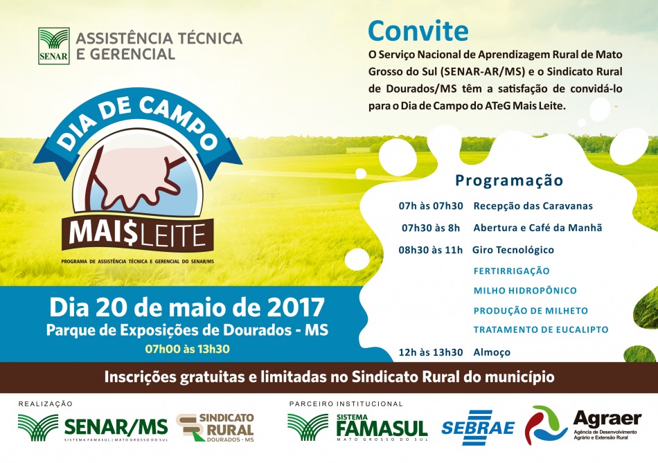 Milheto é opção de ganho nutricional na atividade leiteira Foto: Divulgação