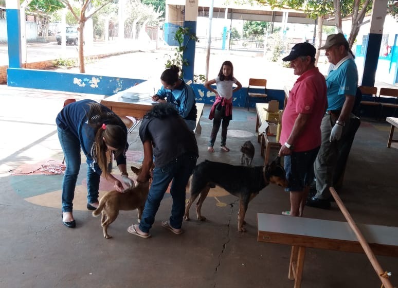 Mais de 9 mil animais foram imunizados na Campanha de Vacinação Antirrábica Mais de 9 mil animais foram imunizados na Campanha de Vacinação Antirrábica