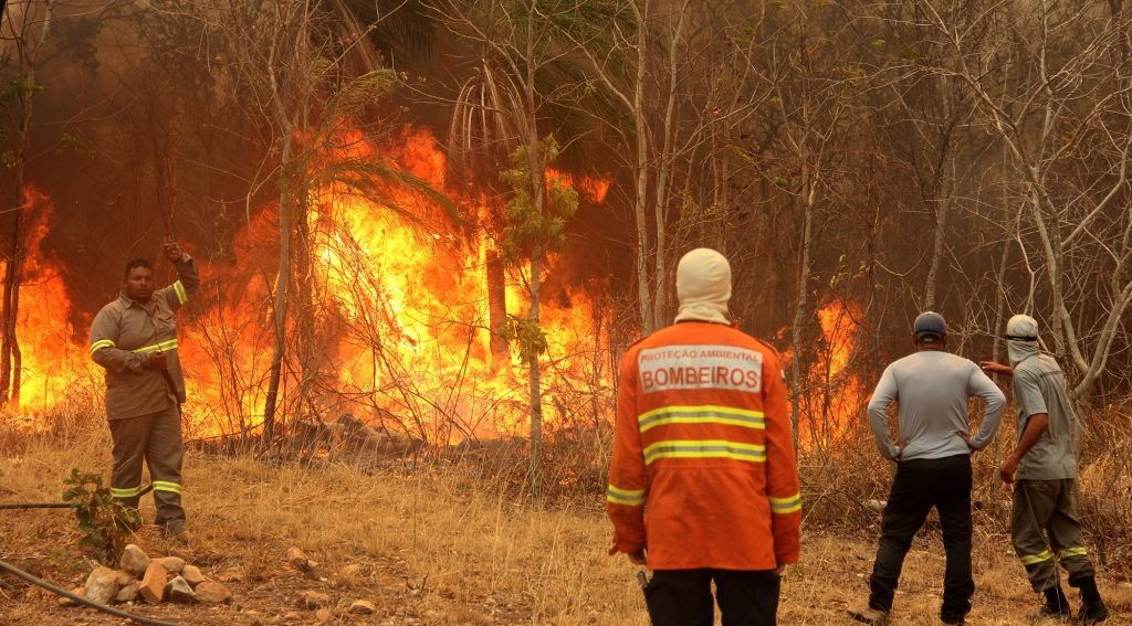 Combate às queimadas no MS ganha reforço de mais 120 brigadistas e bombeiros O tempo seco dificulta o combate aos focos de incêndio