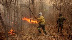 Combate às queimadas no MS ganha reforço de mais 120 brigadistas e bombeiros Combate às queimadas no MS ganha reforço de mais 120 brigadistas e bombeiros