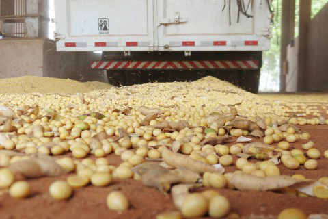 Foto: Assessoria de Imprensa Sistema Famasul