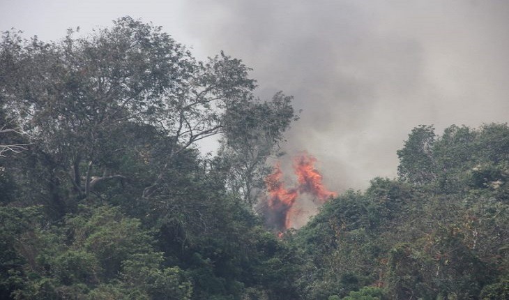 Operação Pantanal II adota nova estratégia para impedir avanço do fogo Foto: divulgação