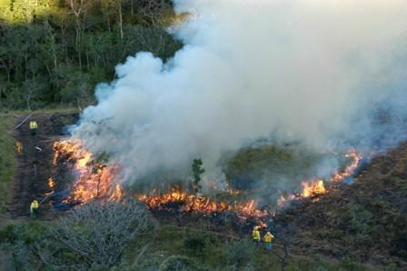 Comitê de Prevenção e Combate aos Incêndios Florestais será reativado