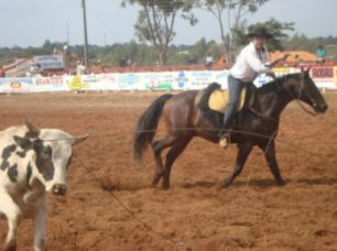 Dourados recebe mais de 600 praticantes do Laço Comprido, de hoje até domingo Dourados recebe mais de 600 praticantes do Laço Comprido, de hoje até domingo