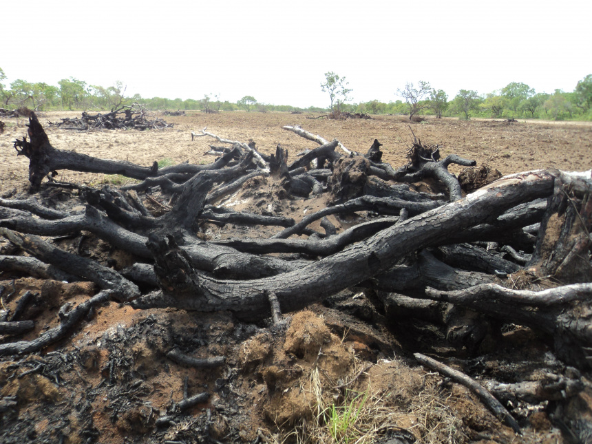 PMA autua fazendeiro por desmatamento e incêndio no Pantanal PMA autua fazendeiro por desmatamento e incêndio no Pantanal