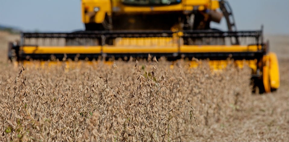 Brasil deve produzir 238 milhões de toneladas na próxima safra de grãos Previsão é de que área produtiva fique entre 61,9 milhões de hectares e 63,1 milhões de hectares