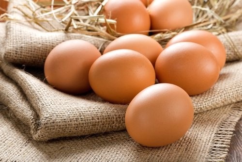 Preço dos ovos ao produtor evolui melhor que no varejo Foto: Divulgação