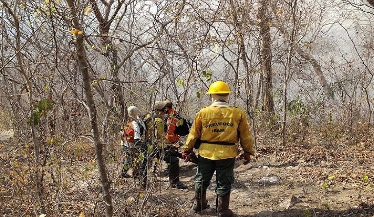 Força-tarefa prioriza controle das chamas para evitar o avanço dos incêndios Foto: Sílvio de Andrade