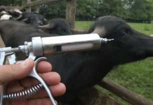 Brasil e Paraguai discutem integração nos trabalhos de fiscalização