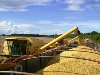 Brasil terá safras recordes de soja e milho em 13/14, diz Céleres