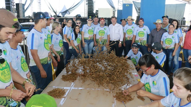 22º Concurso Pé de Soja Solteiro será nos dias 27 e 28 de abril em Laguna Carapã Concurso Pé de Soja Solteiro atrai produtores do MS, de todo o país e até mesmo de países vizinhos como o Paraguai