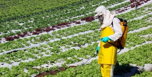 Aplicação de defensivos agrícolas exige cuidados para garantir boa eficácia Foto: Divulgação